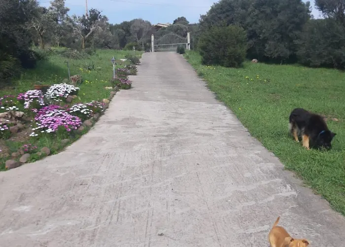 Дом отдыха La_casa_di_ Willy